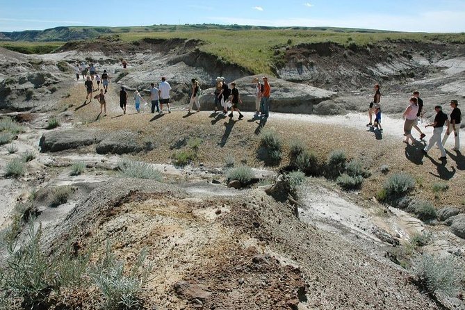 Dinosaur World 1 Day: Drumheller-Badland-Hoodoo-Mine National Historic - Traveler Feedback and Tips