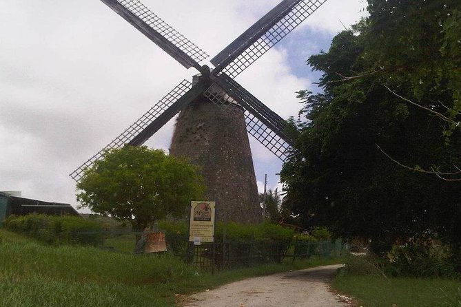 Discover Barbados With Inajas Transport and Tours - Tailored Experiences