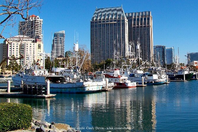Discover San Diegos Beaches: Private Driving Tour - Sights Along the Coast