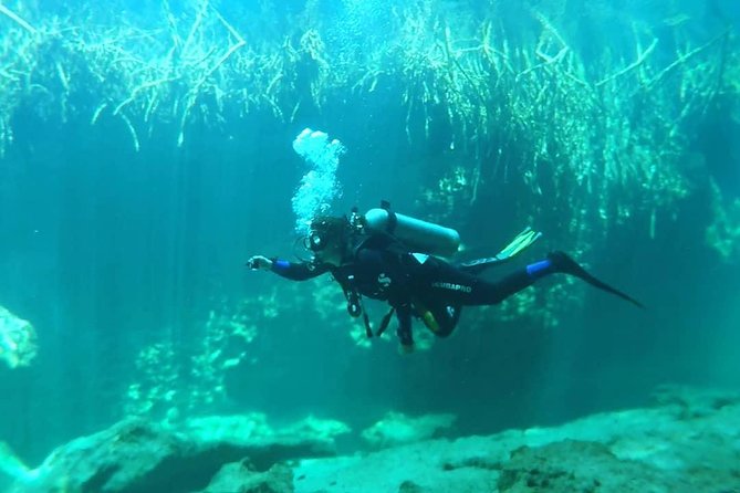 Discover Scuba Diving at Casa Cenote - Frequently Asked Questions