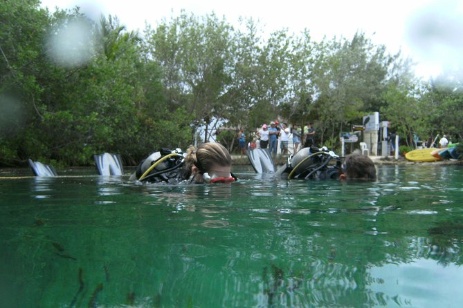 Discover Scuba Diving in Tulum - Dive Site Highlights