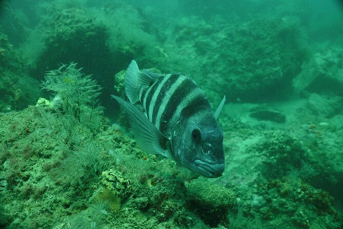 Discover Snorkeling Tour in Panama City - Cancellation Policy