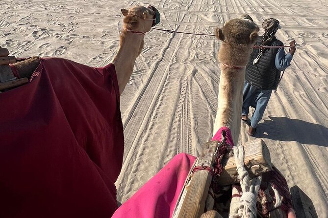 Doha Qatar ATV Quad Bike Buggy Dune Bashing and Camel Ride - Lunch and Refreshments