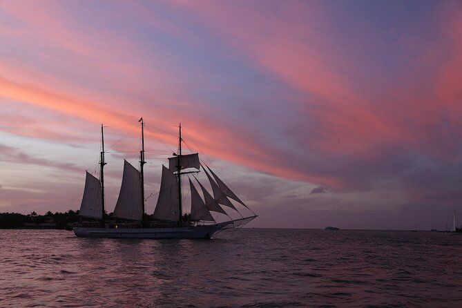 Dolphin Morning Watching & Snorkeling + Open Bar + 1 Day Hop-On Hop-Off Fun - Activity Details