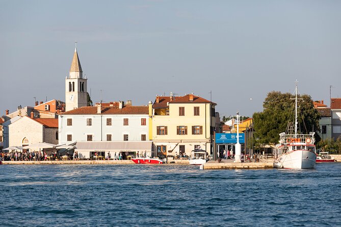 Dolphin Safari in Fažana - Accessibility and Participation Guidelines