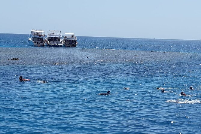 Dolphin Tour Banana Boat From Soma /Sahl Hasheesh/Makadi/Safaga - Common Concerns and Complaints