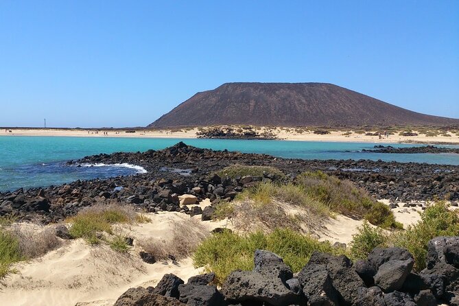 Dolphin Watching Cruise to Lobos Island - Preparation and Tips