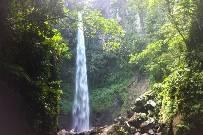 .Dominica Full Day Tour -6 Waterfalls in 1 Day and Rainforest - Logistical Notes