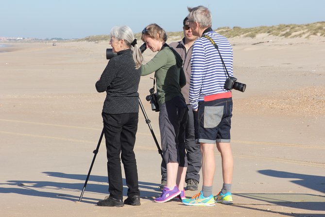Donana National Park & Matalascanas Guided Tour From Seville - Accessibility Information