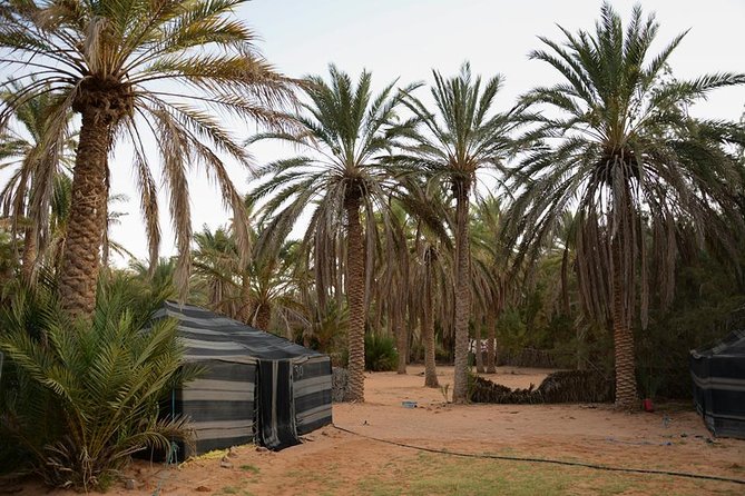 Door of the Tunisian Desert Ksar Ghilane and Matmata: Full One Day - Cultural Experiences