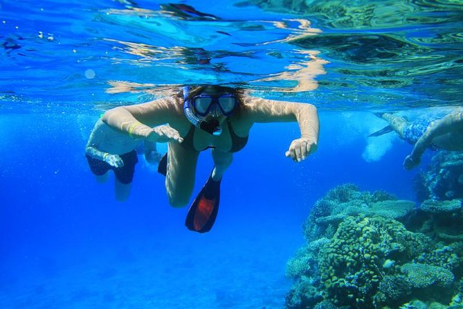 Double Reef Snorkel, Dolphin & BBQ - Tips for a Great Experience