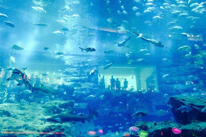 Dubai Aquarium and Underwater Zoo - Unique Exhibits and Attractions