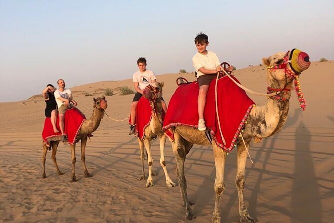 Dubai Evening Desert Safari - Traveler Reviews and Ratings