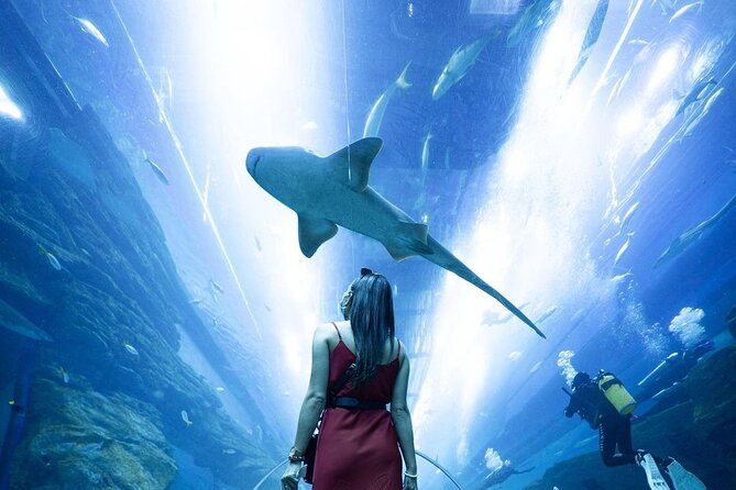 Dubai Mall Aquarium and Underwater Zoo Ticket - Planning Your Visit
