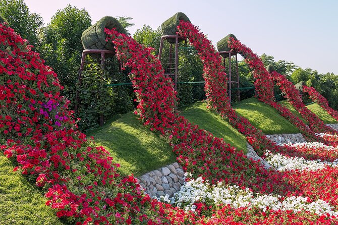 Dubai Miracle Garden Self-Guided Tour With Ticket With Transfer - Accessibility Information