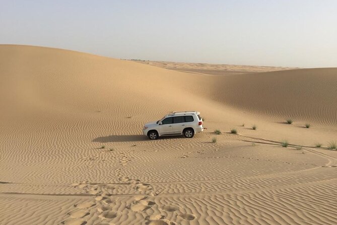 Dubai: Morning Desert Safari With 30 Minutes Buggy - What to Expect