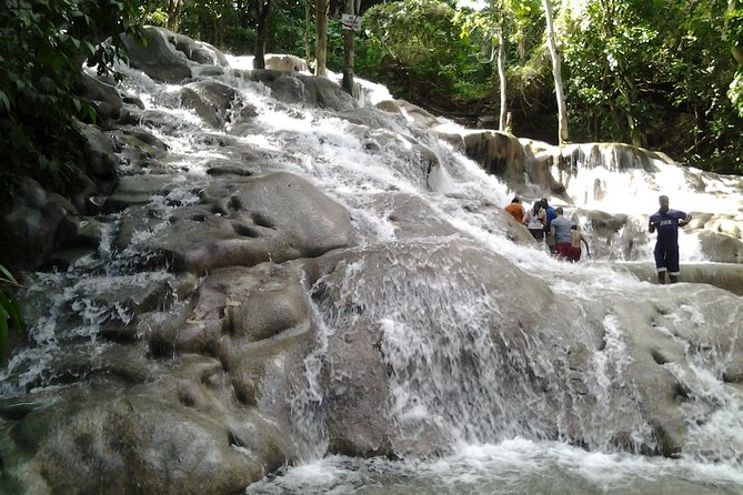 Dunns River Falls Excursion From Montego Bay - Customer Feedback and Ratings
