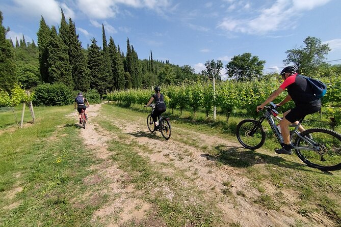E-Bike and Tour From Lonato Del Garda With Wine Tasting - Meeting and End Points