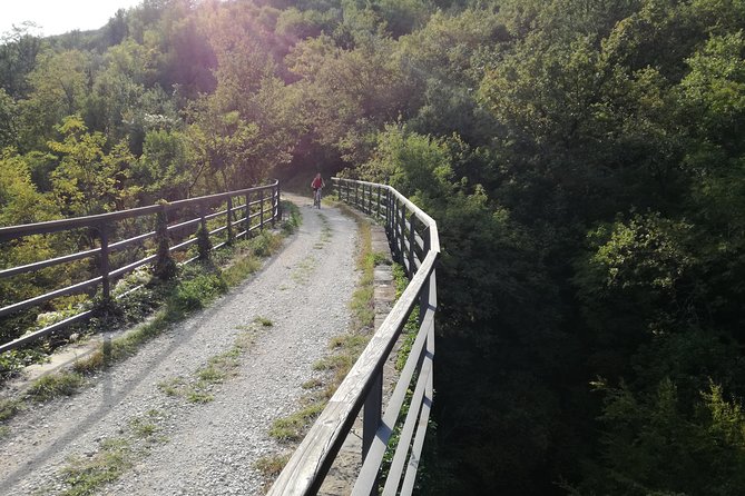E-bike Tour: Istrian Countryside & Parenzana - E-bike Features and Benefits