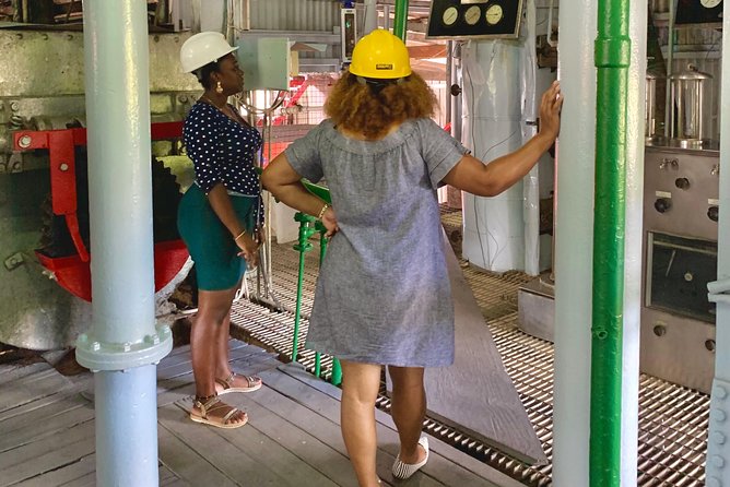 Eastern Tours/ Mt. Carmel Falls / Laura Spice Tour / Clarkes Court Distillery - Discovering Lauras Herb and Spice Garden
