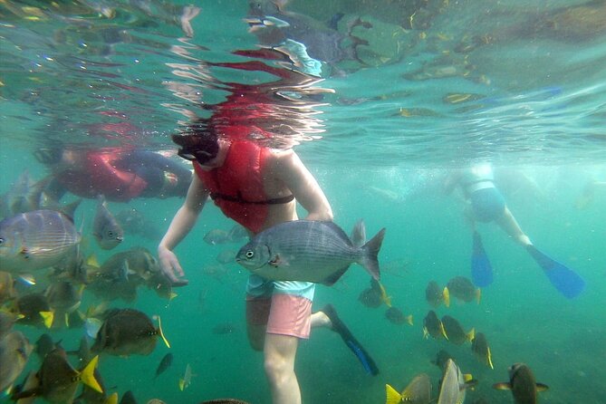 EcoCat Snorkel Catamaran Cruise in Cabo - Exploring Cabos Marine Life