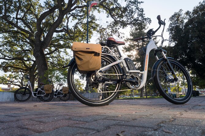 Electric Bike Rental in Paso Robles - Tips for a Great Experience