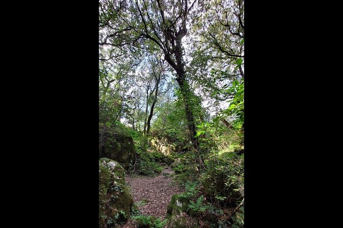 Enchanted Forest Hike and Wine Tasting Private Tour - Exploring Korcula Island