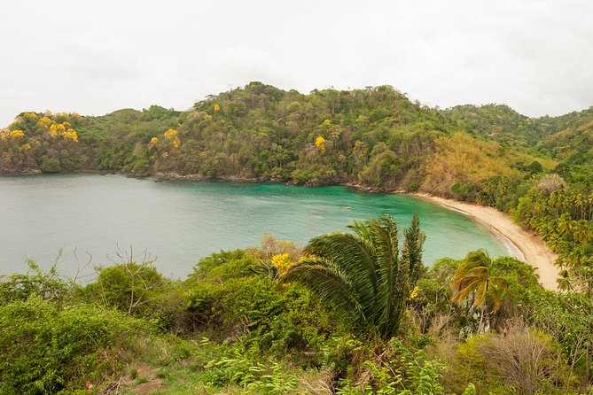 Englishmans Bay Day Trip With Lunch - Tour Location and Provider