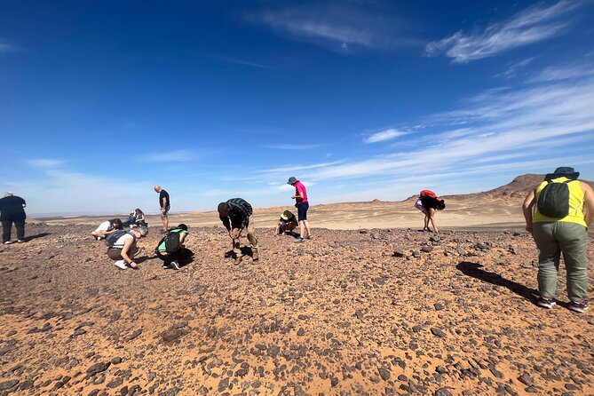 Enjoy Berber Experience 4X4 Excursion Sandboarding Dune Day in the Sahara - Important Policies