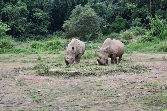 Entebbe Eco Tour - Full Day - Reptile Village Adventure