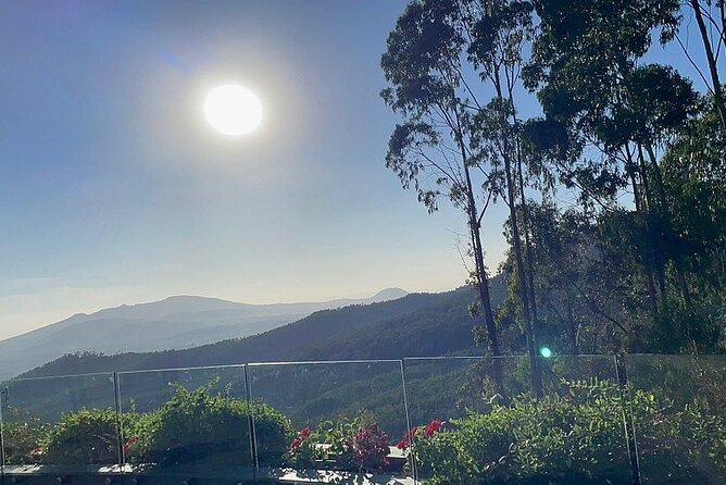 Entoto Mountain From Addis Ababa - Scenic Views and Attractions