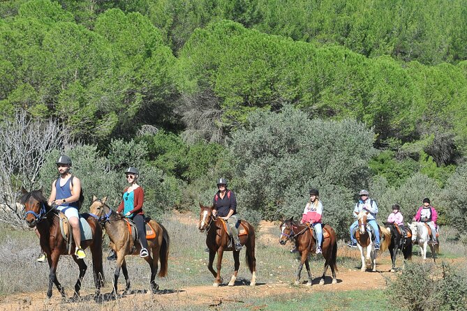 Ephesus Full-Day Tour With Horse Safari From Kusadasi Cruise Port Max 10 People - Unique Horse Safari