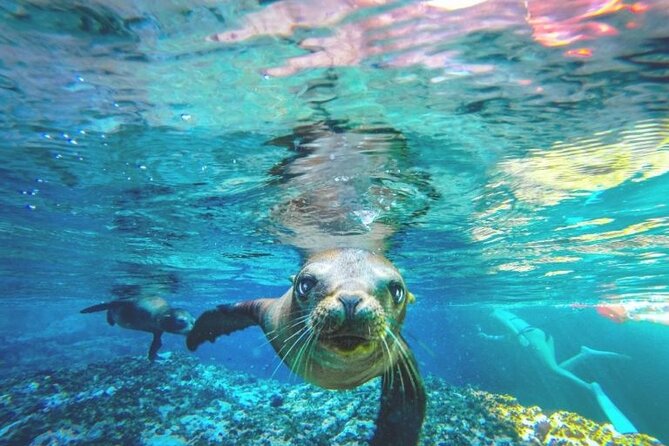 Espiritu Santo Island Day Tour - What to Expect