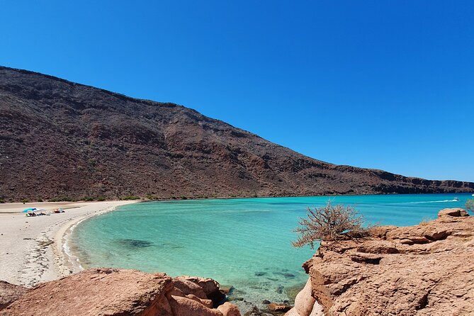 Espiritu Santo Island Snorkel and Sightseeing Tour on Small Group - Booking and Cancellation