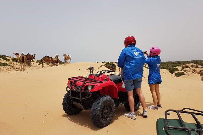 Essaouira: 2h/Quad + 1h/Dromedary Ride Free Transfer - Directions to the Meeting Point