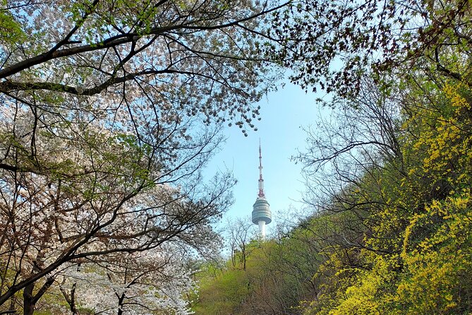 Essence of Seoul, Full Day City Tour - Reviews and Customer Feedback