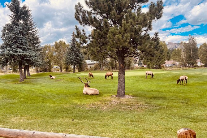 Estes Park Family E-Bike Tour - Scenic Highlights of the Tour
