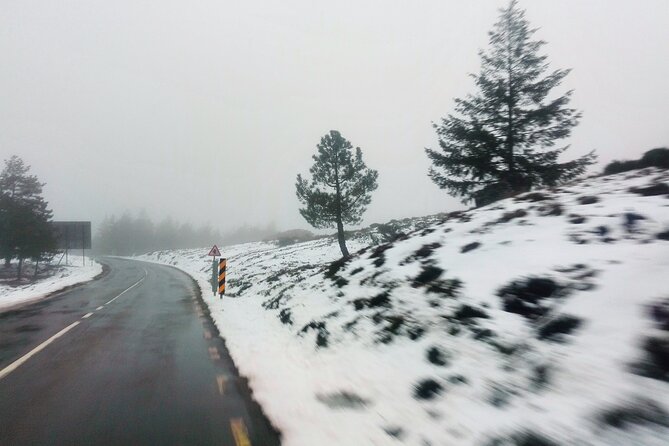 Estrela Mountain, Cheses, Wines and Olive Oils, Full-Day From Coimbra - Accessibility and Recommendations