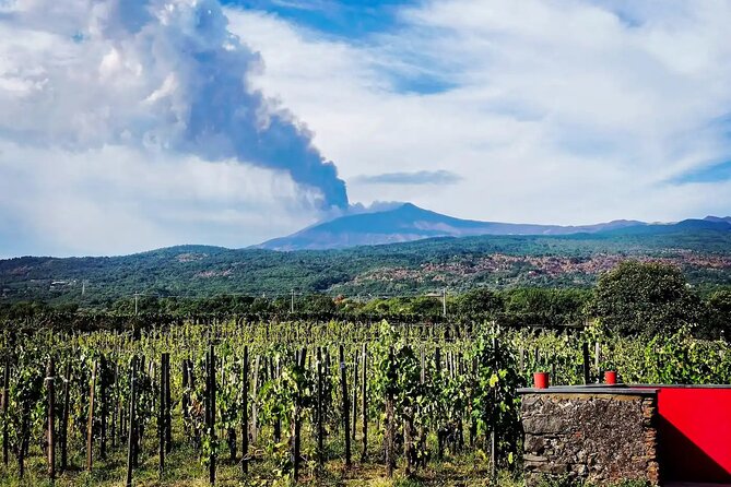 Etna Excursion and Wine Tasting With Sicilian Lunch - Positive Customer Reviews