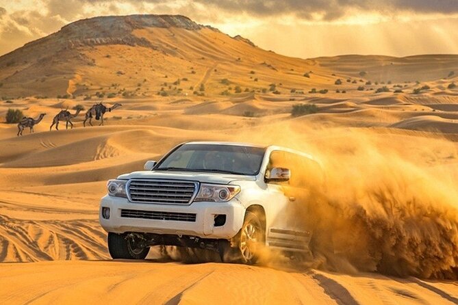 Evening Desert Safari Adventure in Dubai - Suitability and Accessibility