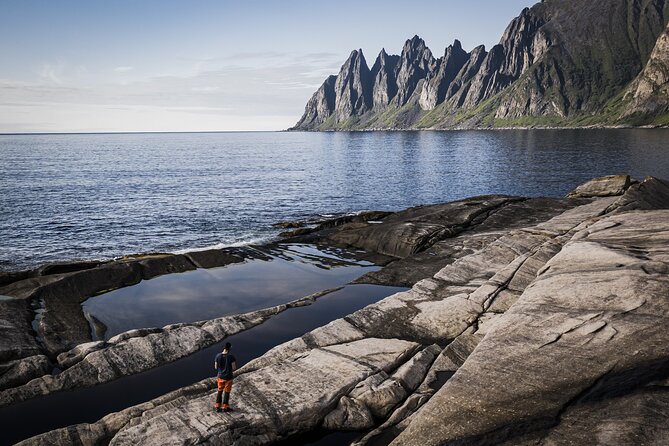 Evening Fjords Tour in Kvaløya - Meeting and End Points