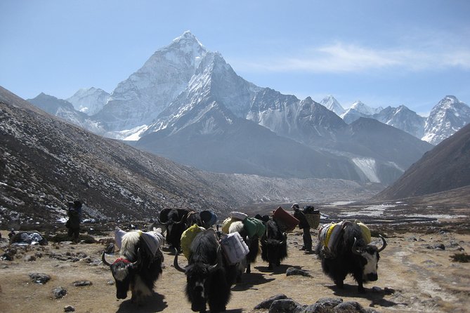 Everest Three (High) Passes Trekking - Travel Tips for Adventurers