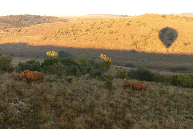 Exclusive Safari Flight - What to Expect During the Flight