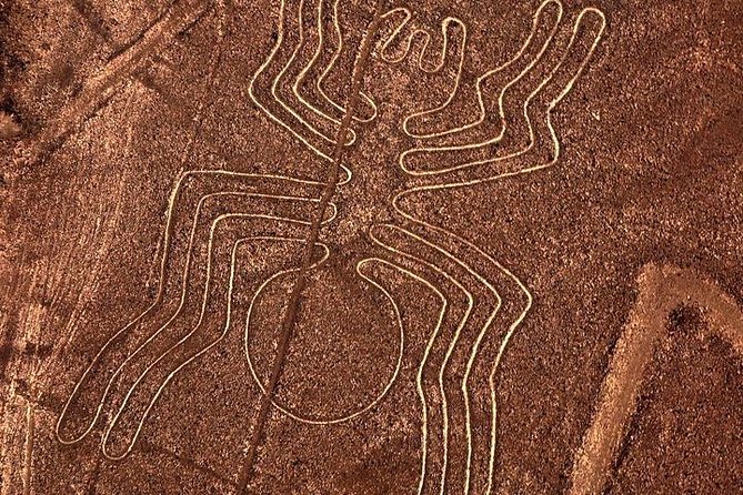 Excursion to Paracas: Huacachina and the Nazca Lines During 2d/1n From Lima - Experience Highlights