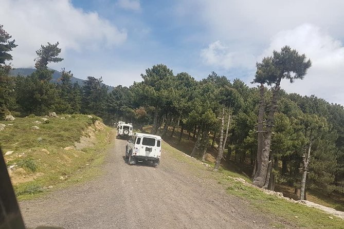 Excursion to the Rif Mountains and Chefchaouen - Accessibility Information
