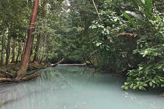 Excursion to Waterfalls of Villaluz and Tapijulapa Magic Town - Inclusions and Exclusions