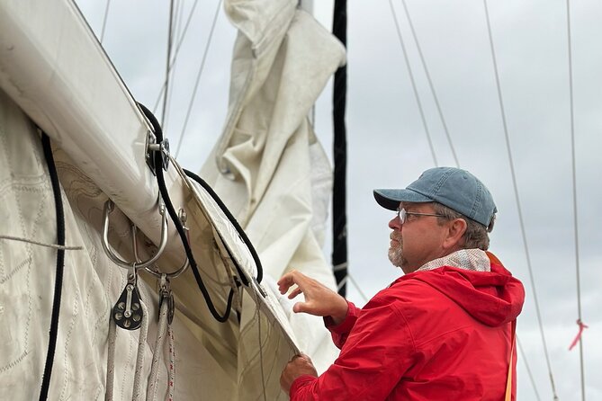 Experience Oceanside Sailing With Whales and Dolphins! - Customer Experiences and Reviews