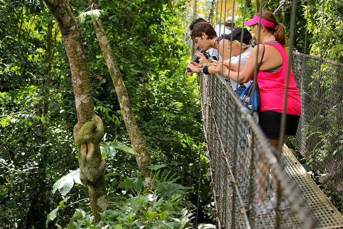 Explore Arenal - One Day Tour Mistico+ Waterfal+ Lunch+ Volcano - Final Verdict On This Stay