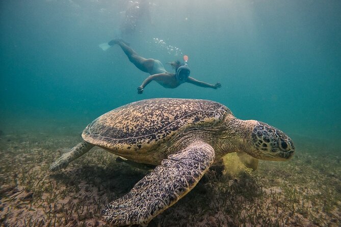 Exploring Nosy Sakatia With Guide - Planning Your Visit