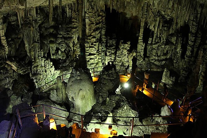 Family Excursion: From Sea Wonders to Mythical Realms Adventure - Pickup and Transportation